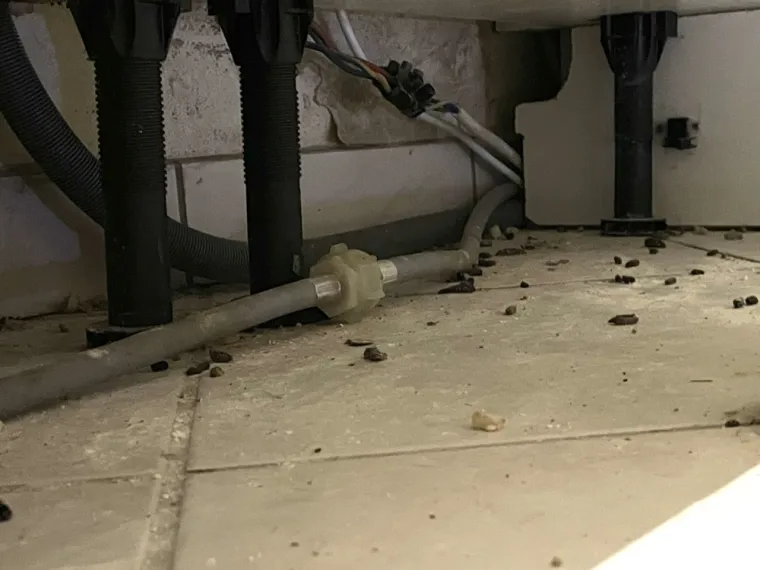 Dératisation dans une cuisine à Pouilley-les-Vignes, Besançon, AVH CONSEIL