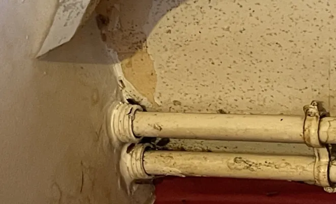 Désinsectisation cafards dans un appartement à Besançon, Besançon, AVH CONSEIL